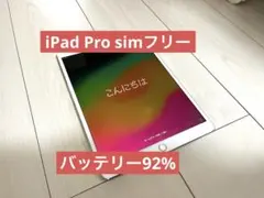 iPad Pro 10.5 wi-fi Cellular simフリー　セルラー