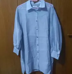 【美品】テチチ　シアーシャツ　ブルー