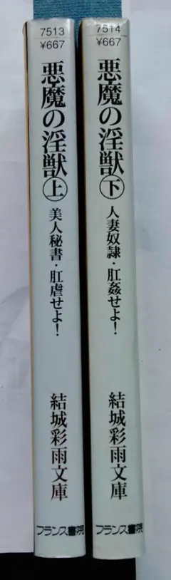 912_結城彩雨文庫2冊 悪魔の淫獣 上下巻のサムネイル