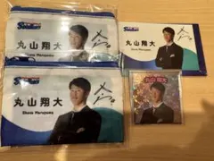 ヤクルトスワローズ　はたらく人応燕シリーズ　丸山翔大　セットのサムネイル