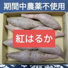 咲さま専用※同梱分★期間中農薬不使用★さつまいも 紅はるか