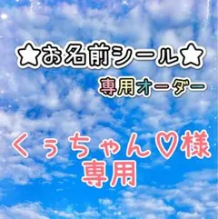 ＊＊＊ くぅちゃん♡様専用＊＊＊