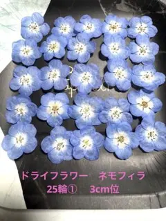 ranran様 リクエスト 2点 まとめ商品