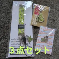 【本日限定値下】嵐 ネックストラップ イヤホンジャック 5×20 チャーム 緑