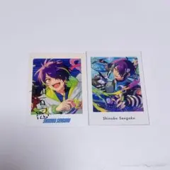 仙石忍 10周年 ぱしゃっつ - メルカリ