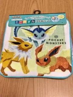 ポケモン　イーブイフレンズ　ミニタオル　3枚組セット