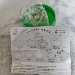 シープラ限定　犬のけだまだま　うちの子のけだま 限定アソート　黒柴