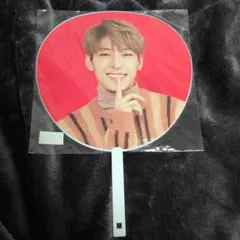 WONWOO うちわ Carat Camp