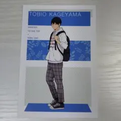 ハイキュー!! TO THE TOP 東武動物公園 影山飛雄 ポストカード