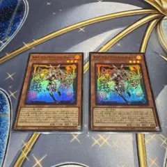 T　マリスホワイトラビット&バックアップQC3枚セット T様専用 マリスホワイトラビット&バックアップQC3枚セット