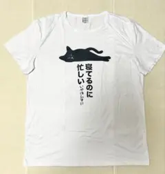 タイムセール 可愛い猫デザインのコットン調Tシャツ 3XL