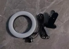 Item thumbnail for item 535f31d7-9a12-4c3c-997c-8fc88d2b1361