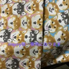 柴犬柄　ブルーandピンク　セット商品