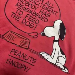 UNIQLOスヌーピー トレーナー