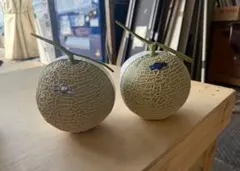 高知産 温室マスクメロン 2玉 約3，5Kg ○秀品 北海道沖縄発送不可