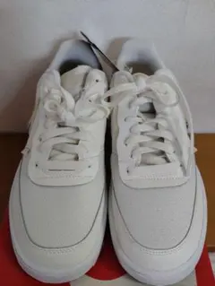 Item thumbnail for item 978d7db6-aff3-4d45-a34c-fd3e19e4f09e