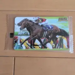まねき馬 レギュラーカード J-194 ステルヴィオ 未開封