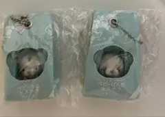 Item thumbnail for item 54604afc-2cf8-4a67-bdc1-7d1aa234f65d