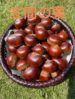 【maririn様専用】　茨城県【笠間の栗】　生栗　3kg