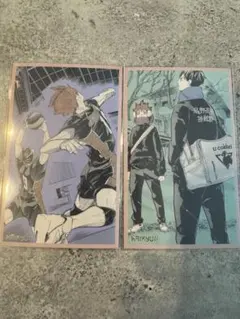 ハイキュー　メモリアルコレクション　日向&影山　2種セット