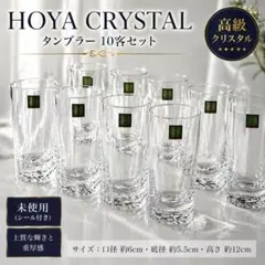 HOYA CRYSTAL タンブラー 10客セット260ml未使用保谷クリスタル