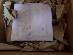 沙*耶様 崩壊スターレイル　キャストリス　星鉄 LIVE ver　1/8　フィギ