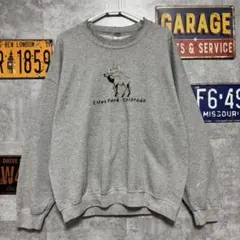 GILDAN Heavy Blend エルク　スウェット トレーナー XL 古着