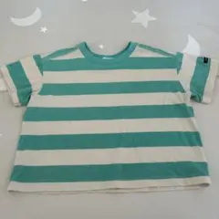 p' premier ストライプTシャツ