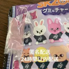 StrayKids チャンビン トェッキ SKZOOグミ&チャーム 匿名配送