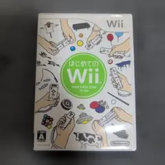 はじめてのWii