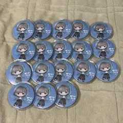 Sou ひきフェス 缶バッジ 18個セット