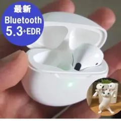 Bluetoothワイヤレスイヤホン ブルートゥースヘッドセット付属品多数❣️X