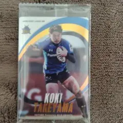 Item thumbnail for item d577ef26-6649-44f4-b40a-119e021bb6cc