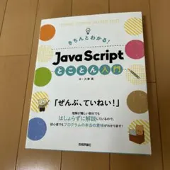 ほぼ未使用】きちんとわかる! JavaScriptとことん入門/技術評論社のサムネイル