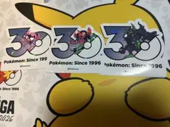 韓国限定 ポケモン メガフェスタ 30周年 ランダムステッカー