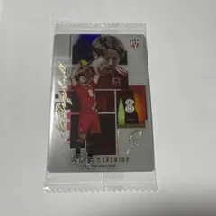 バレーボール日本代表 関田誠大 ツインウエハース N&R