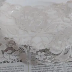 ベージュ フラワー刺繍レース　幅１４cm　長さ１、５m　B⑰
