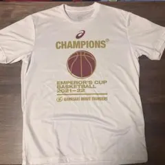 Item thumbnail for item a13a2e12-334b-4b5c-a32b-07ada91b2915