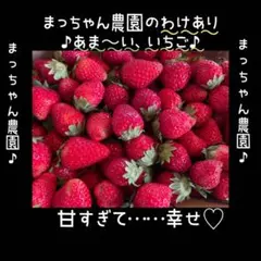 大容量】朝採り 紅ほっぺ 極小粒 〜農家直送〜 いちご - メルカリ