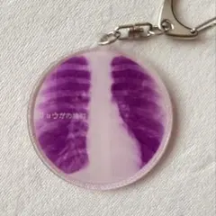 リョウガ アイドル