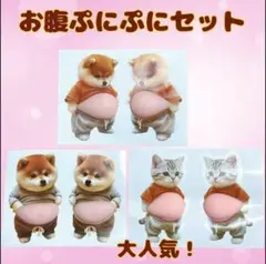 【6匹セット】お腹ぷにぷに シール 立体 3D 犬 猫 柴犬 かわいい 癒し