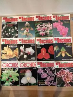 趣味の洋ラン　 ニューオーキッド12冊 洋蘭雑誌　洋ラン雑誌　洋ラン