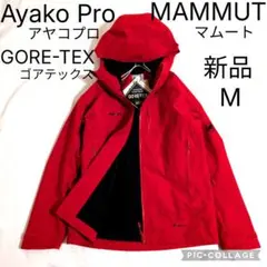 Item thumbnail for item f5a028d6-df80-4e04-a4c7-137a45dcb49b