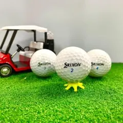 P23☆ロストボール スリクソン 各種混合 ホワイト 24球 B