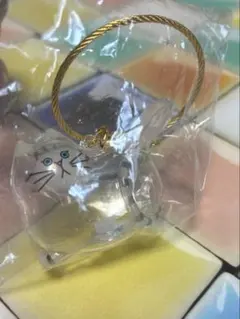 うちの子のけだまだま　猫　シャムトラ