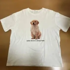 Vipoa ゴールデンレトリバープリントTシャツのサムネイル