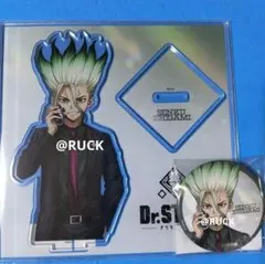 Dr.STONE 石神千空 缶バッジ アクスタ 生誕記念 2点