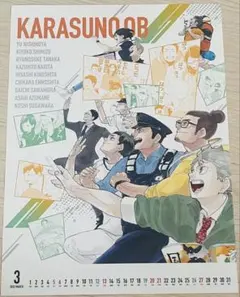 ハイキュー カレンダー ポスター 3月 烏野 大人バージョン