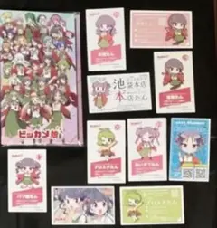 使用済み 2種セット ビックカメラ ギフトカード ビッカメ娘 ナイセン