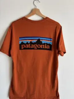 patagonia パタゴニア　オレンジ Tシャツ S